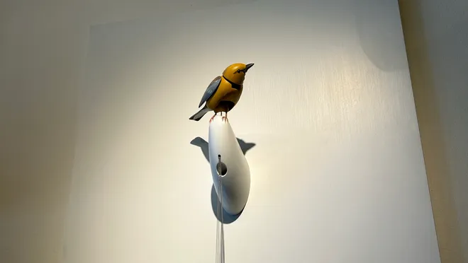 Kelly Clarkson Art of Play Controversy – Store Raises Price of Bird