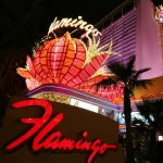 Man Who Took Live Flamingo To Vegas Hotel Room Found Guilty