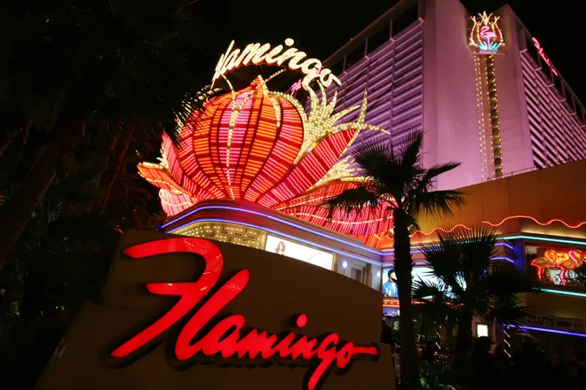 Man Who Took Live Flamingo To Vegas Hotel Room Found Guilty