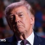Trump announces deal with Putin to release Russian diesel - BBC News Africa