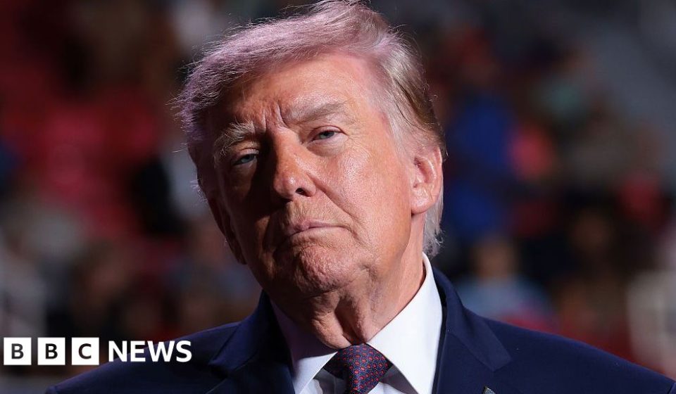 Trump announces deal with Putin to release Russian diesel - BBC News Africa