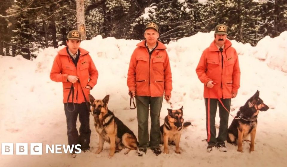Canada stops using 'avalanche dogs' for Rocky Mountain rescues, sparking outrage - BBC News Africa