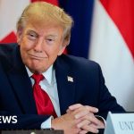 Trump's AI name change sparks 'unprecedented' demand for Slovenian website names - BBC
