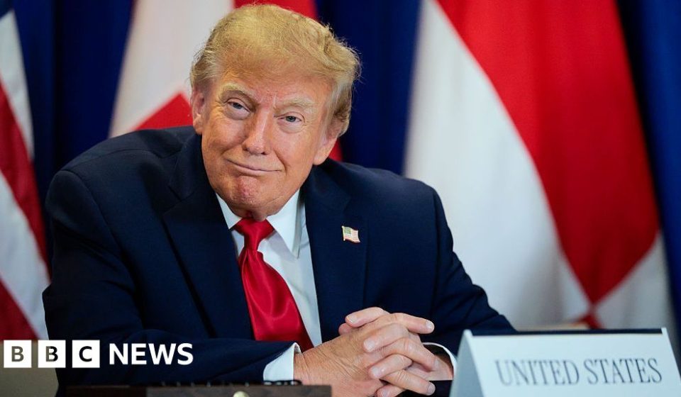 Trump's AI name change sparks 'unprecedented' demand for Slovenian website names - BBC