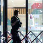 Warning signs about threats against Australian politicians grew before MP hit by car - BBC