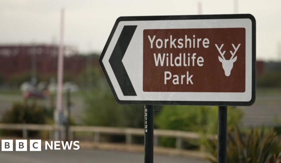 Man dies after tiger attack at wildlife park - BBC News Africa
