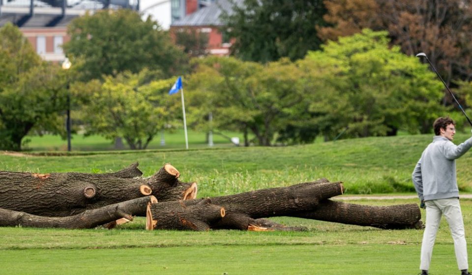 Park Service to remove more than 500 trees from historic golf course Trump is redesigning