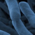 Legionnaires' bacteria found at Trinity Rock Island Hospital; the state stops surgical operations
