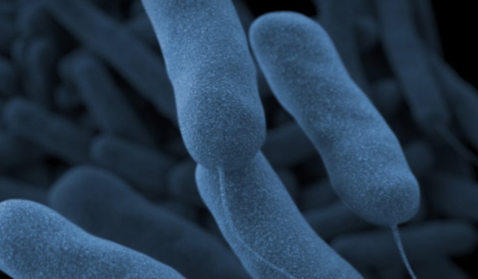 Legionnaires' bacteria found at Trinity Rock Island Hospital; the state stops surgical operations