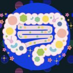 I Took Antibiotics for a Year: Here's What I Eat to Improve My Gut Health