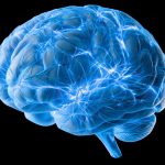 In 2026, we are still trying to understand how the brain eliminates its waste. Scientists have just found a missing piece. : Science Alert