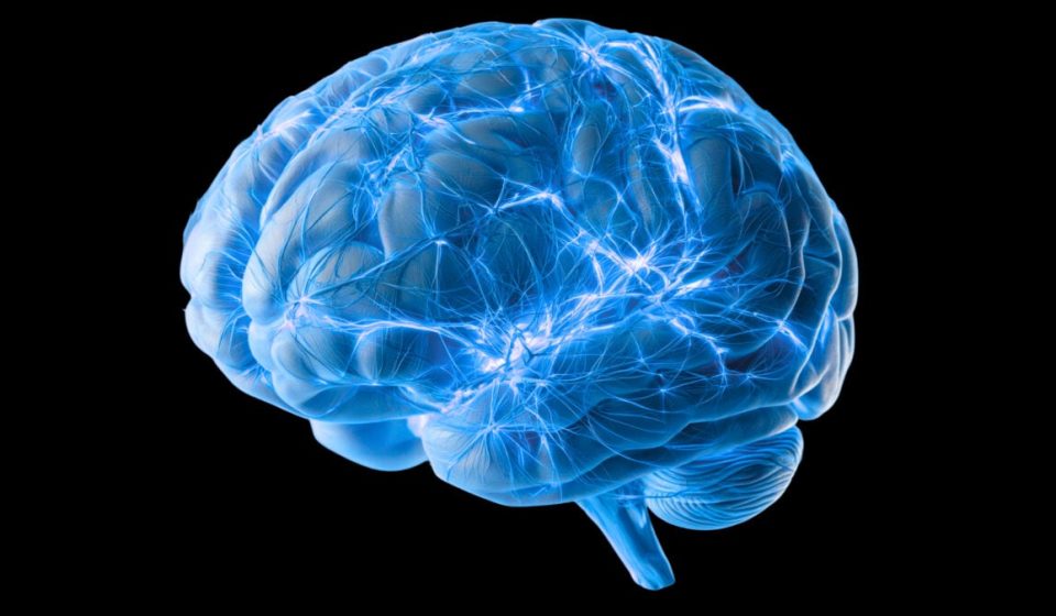 In 2026, we are still trying to understand how the brain eliminates its waste. Scientists have just found a missing piece. : Science Alert