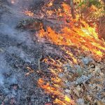 DNR provides new information on Negaunee Township bushfires