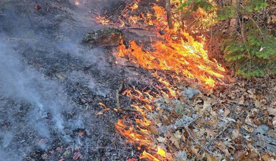 DNR provides new information on Negaunee Township bushfires