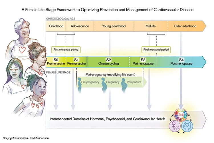 Compendium on Cardiovascular Health for Girls and Women - Professional Heart Daily
