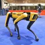 ICE wants robot dogs. Boston Dynamics workers urge company to 'cancel sale'
