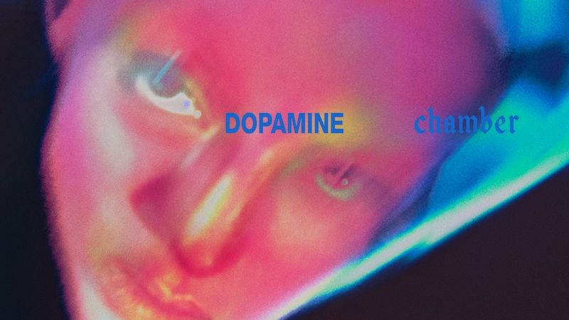 Fontaines DC: Review of the album Dopamine Chamber Fontaines DC: Review of the album Dopamine Chamber