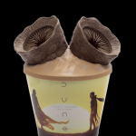 The 'Dune 3' popcorn bucket contains two sandworms