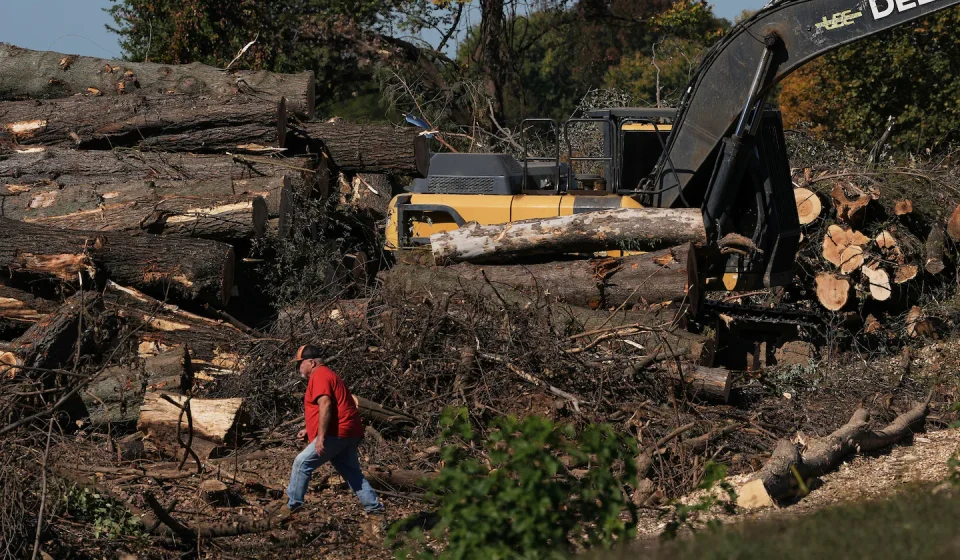 Trump administration to spend $1.2 million to remove trees from DC golf course, records show - The Washington Post