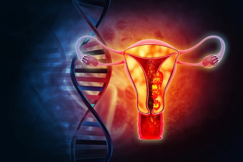 Scientists discover ovaries can do something unexpected decades after menopause Scientists discover ovaries can do something unexpected decades after menopause