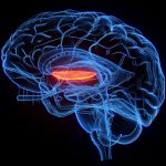 Ultrasound waves that shake deep brain structures may relieve delusions in schizophrenia, small trials show
