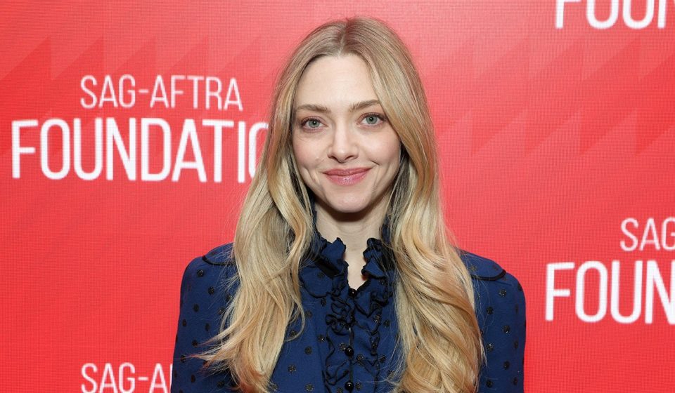 Amanda Seyfried quit her TV role because it featured a lot of sex scenes Amanda Seyfried quit her TV role because it featured a lot of sex scenes