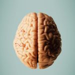 Can Alzheimer's disease be treated with surgery? Scientists want to find out.