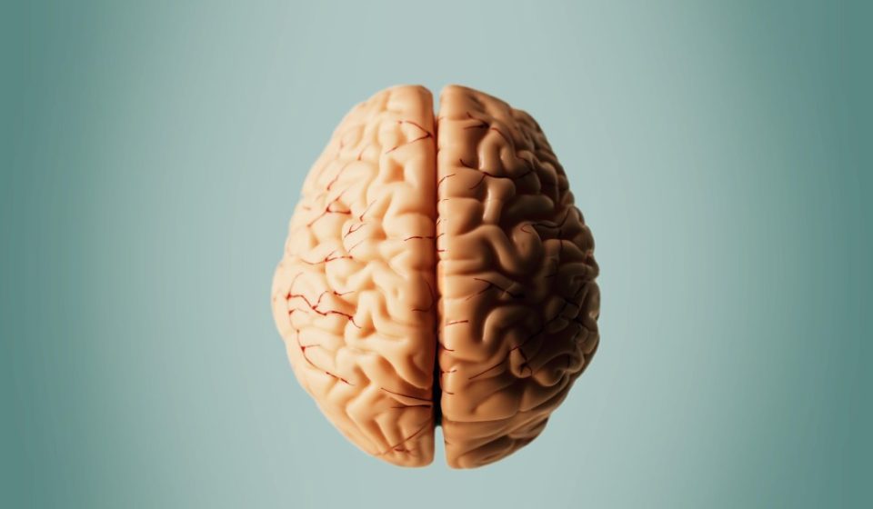 Can Alzheimer's disease be treated with surgery? Scientists want to find out.