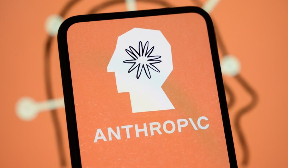 Anthropic says its workforce has become younger and spends more time in meetings