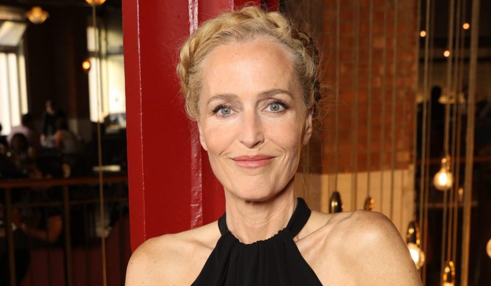 Gillian Anderson explains her confrontation with 'distracting' superfans