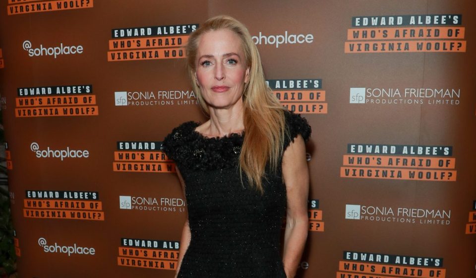 Gillian Anderson responds to backlash by telling superfans to stop sitting in the front row - hollywoodreporter.com