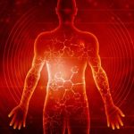 Surprising brain signal could explain why eating less protein extends lifespan