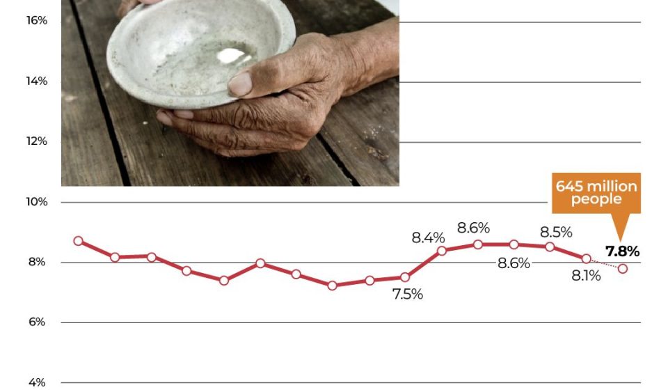 Which countries waste the most food and how to reduce waste at home | Hunger News