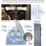 How was Flydubai's co-pilot allowed when he was considered a safety risk? | Explanatory news