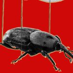 PHP's collapse shows how AI makes bugs more exploitable