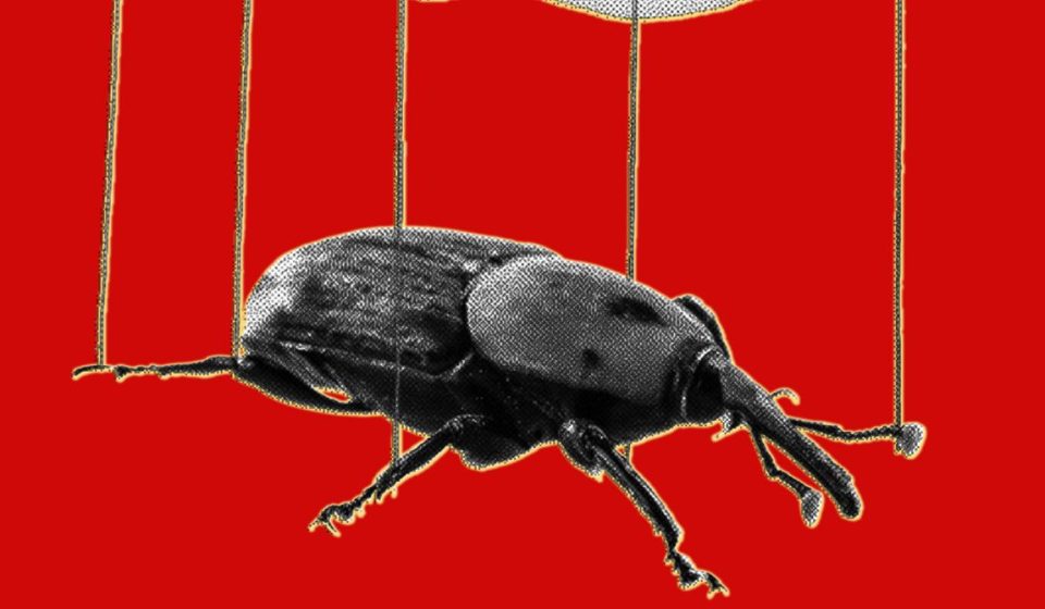 PHP’s collapse shows how AI makes bugs more exploitable PHP's collapse shows how AI makes bugs more exploitable