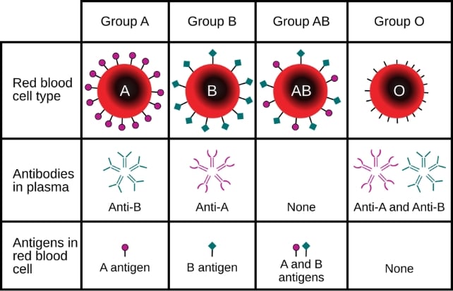 One blood type appears to carry higher risk of type 2 diabetes: ScienceAlert