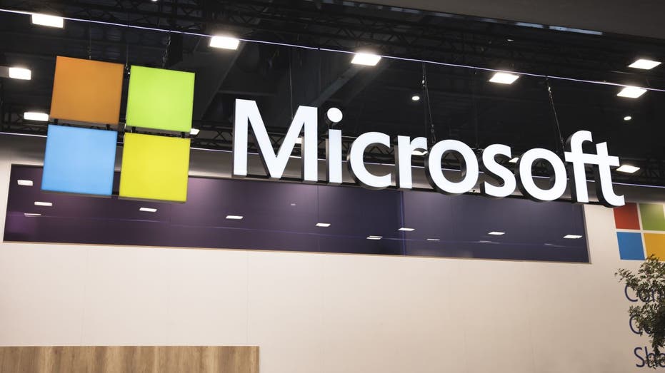 Vance accuses Microsoft of abusing visa system, suspends green card program