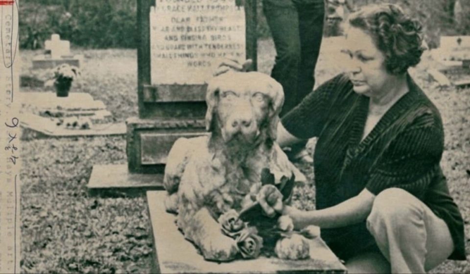 Review of Pet Cemetery Murders: Not Quite Heaven’s Gate Review of Pet Cemetery Murders: Not Quite Heaven's Gate