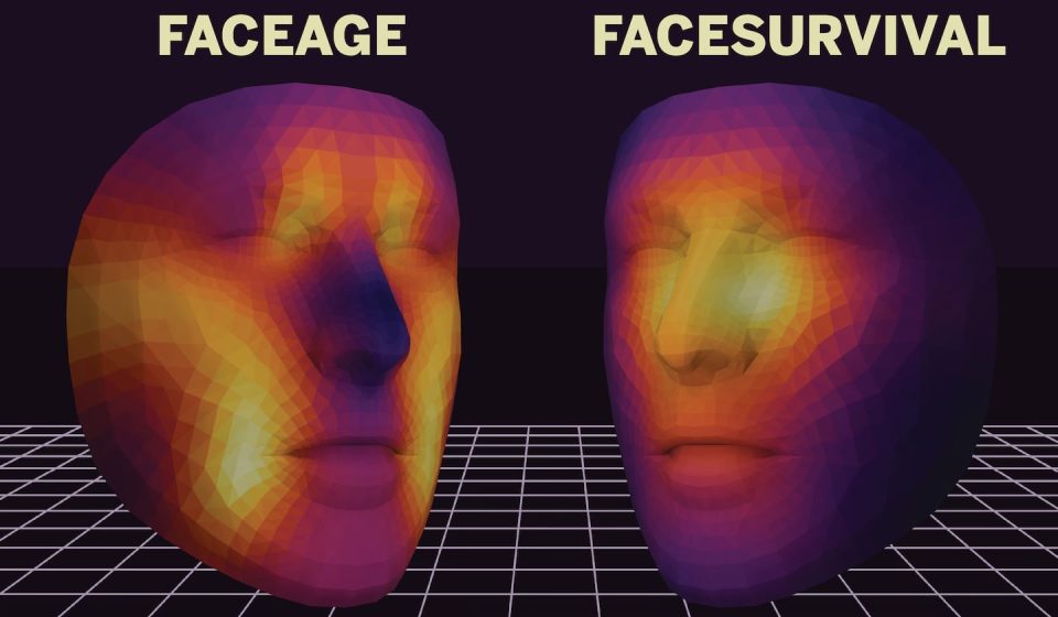 Anyone can now upload photos to try Mass General's FaceAge tool