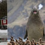 33 hilarious photos from the Nikon Comedy Wildlife Awards