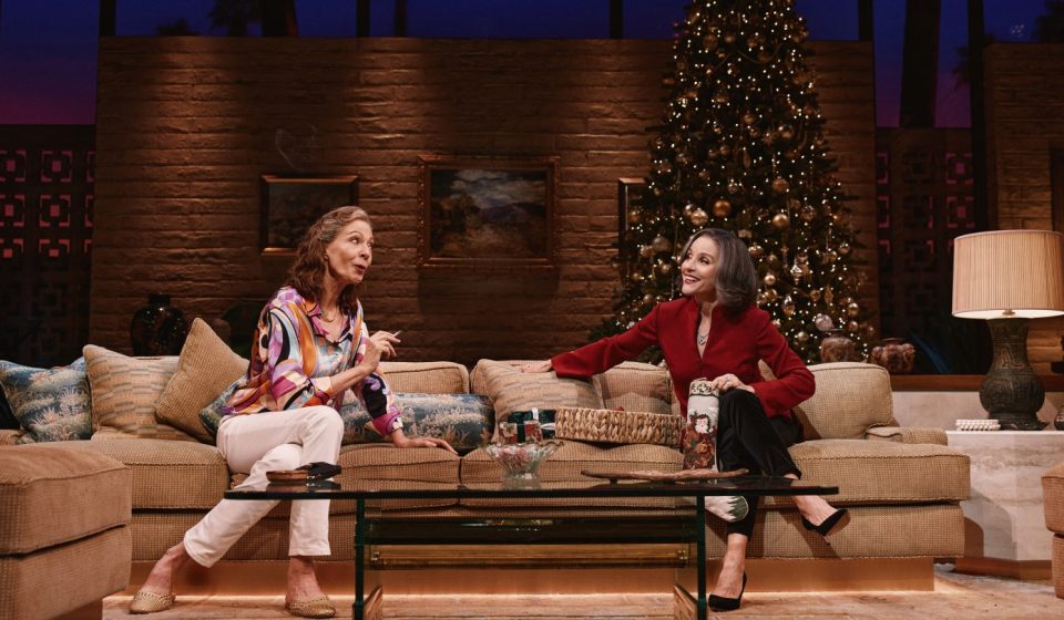 Broadway Revue “Other Desert Cities”: The Uncertain Beginnings of Julia Louis-Dreyfus