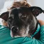 Physically touching your dog can help protect you from future stress, study suggests: ScienceAlert