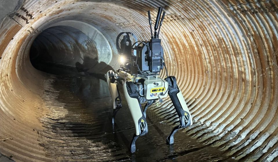 ICE's plan to buy robot dogs sparks protest from hundreds of Boston Dynamics employees
