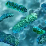Scientists studied 1,300 cancer patients and discovered a trend in the gut