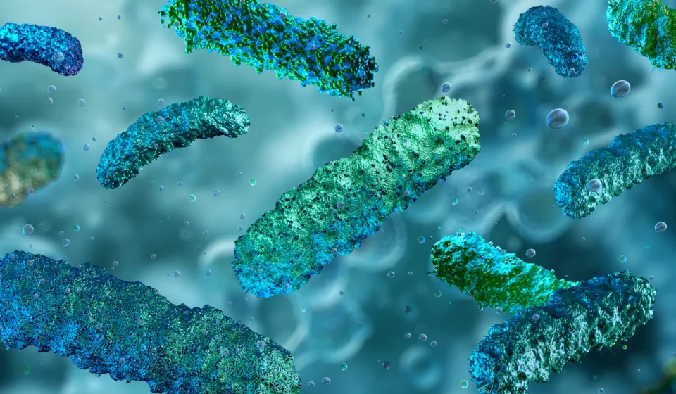 Scientists studied 1,300 cancer patients and discovered a trend in the gut
