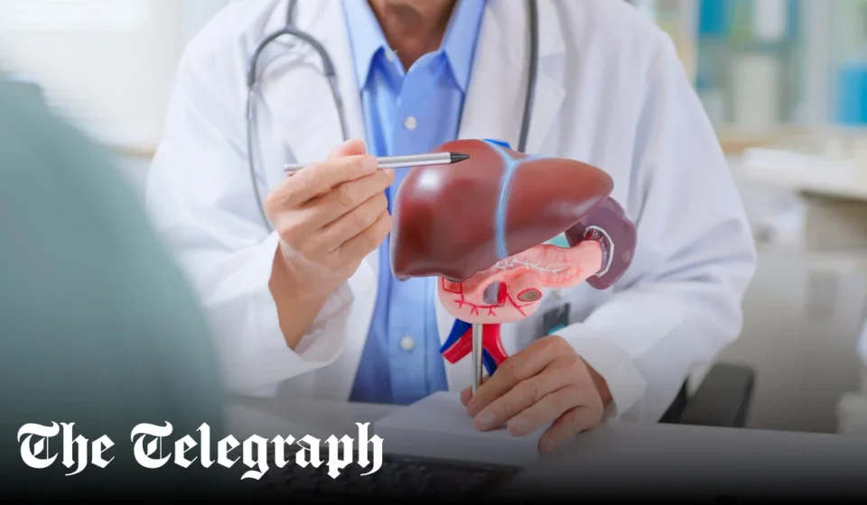 Eating before bed increases the risk of fatty liver disease Eating before bed increases the risk of fatty liver disease