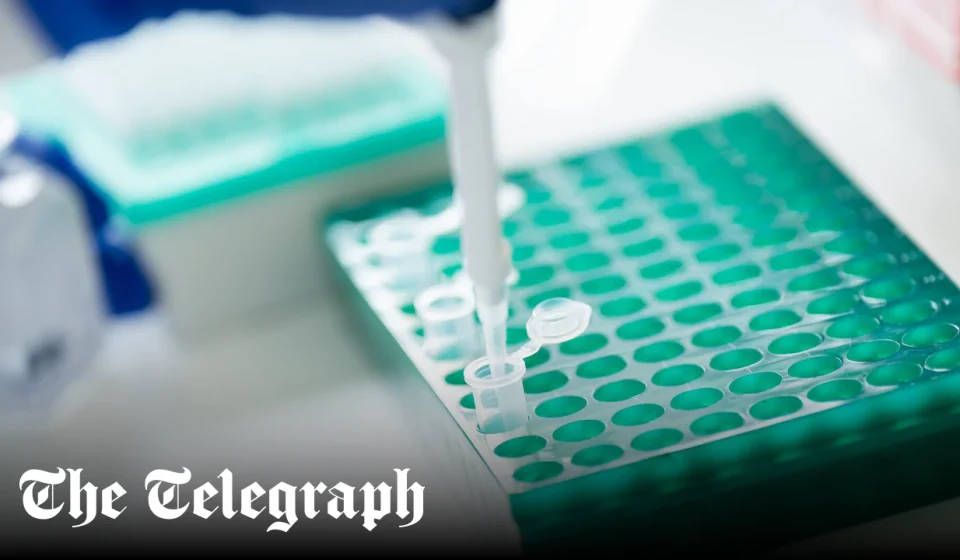 Prostate cancer test identifies men at highest risk of death