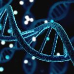 Massive study identifies genetic variants associated with five major personality traits