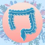 The Best Time to Eat Fermented Foods for Gut Health